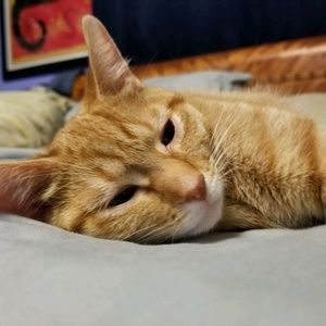 Meet your Posher, Alicia